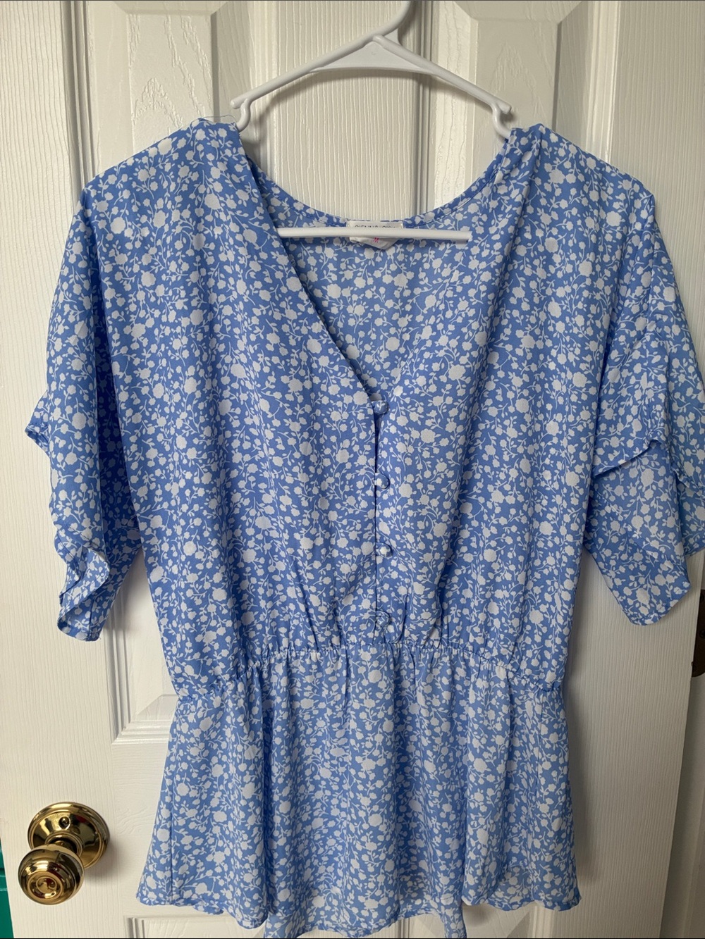 Sienna Sky Blue and White Floral V-Neck Blouse